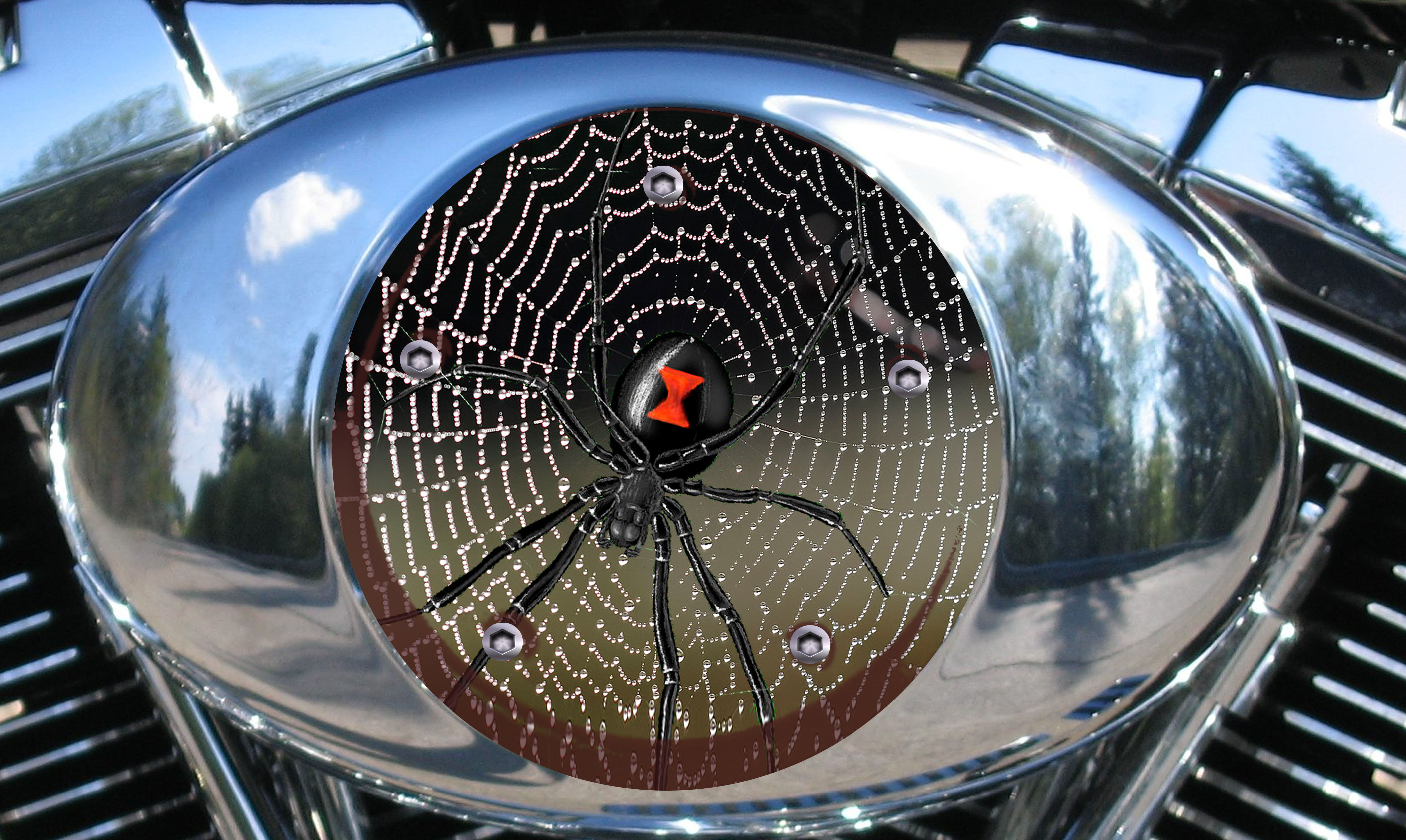 Custom Air Cleaner Cover - Spider on web w/ dew
